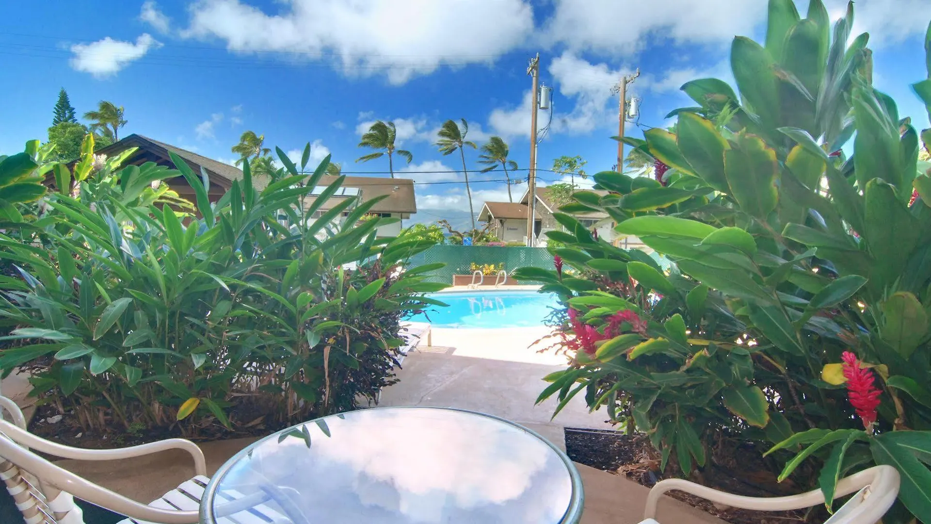 Napili Sunset Beach Front Resort Lahaina